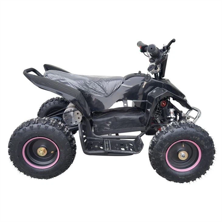 electic quad 800w (3)